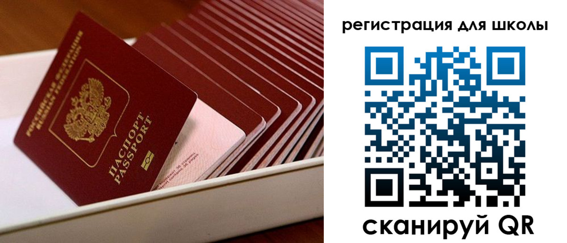 прописка гарантия в Новозыбкове